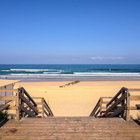 La Cabane Maddyblue 5 Min A Pieds De L'Ocean Et Commerce Mimizan-Plage Dış mekan fotoğraf