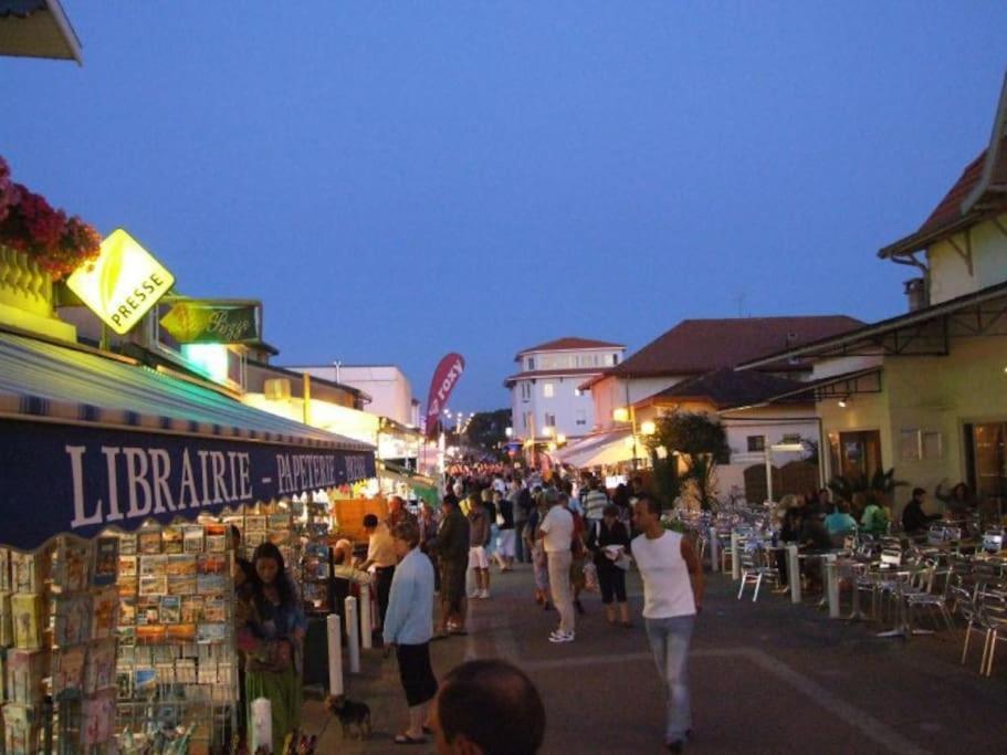 La Cabane Maddyblue 5 Min A Pieds De L'Ocean Et Commerce Mimizan-Plage Dış mekan fotoğraf